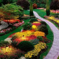 small bright flowers landscaping rosary picture