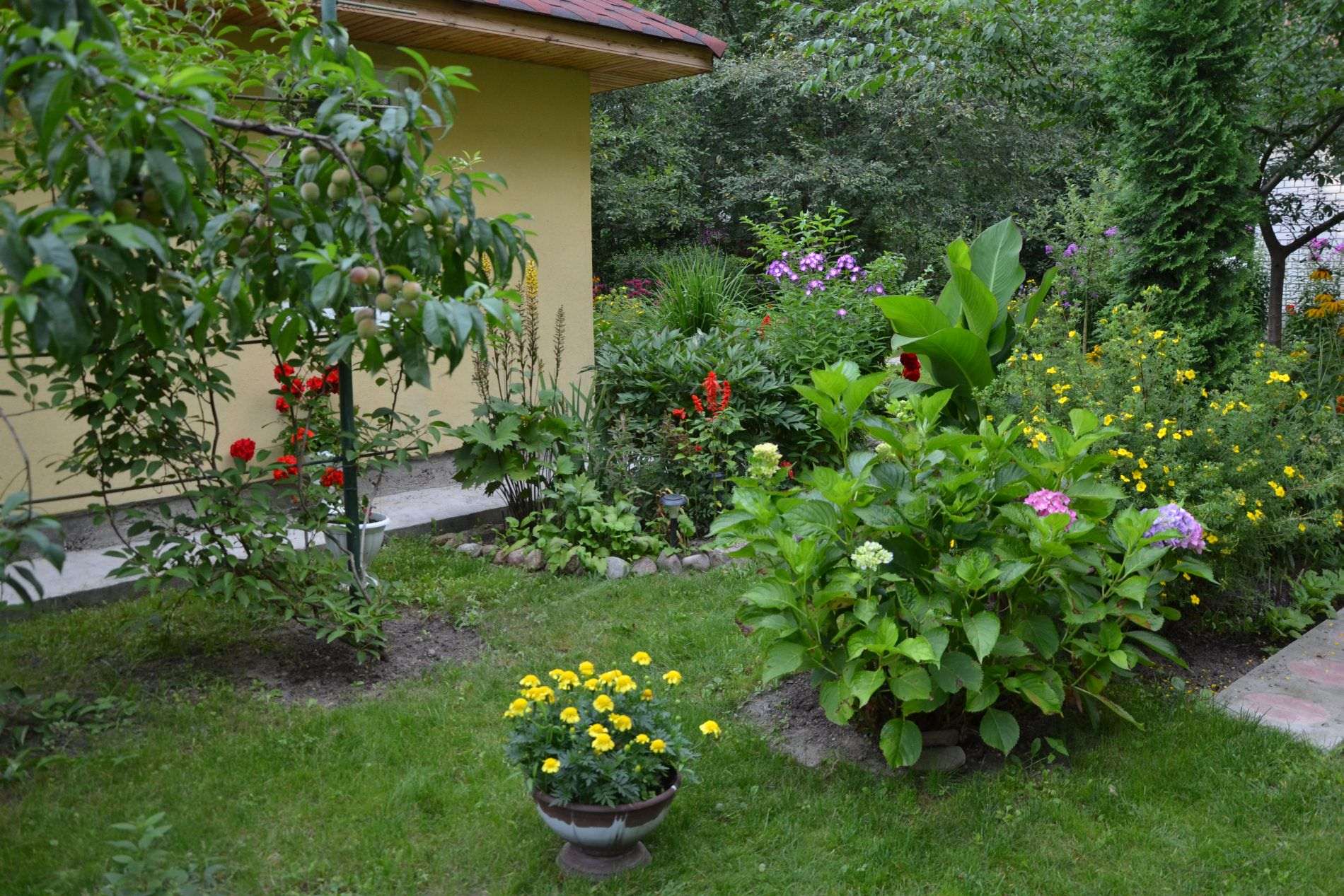 small unusual flowers in the landscaping of the cottage