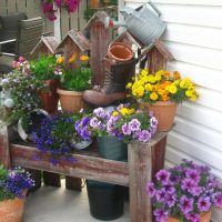 small bright flowers in the landscape design of a country house photo