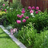 small unusual flowers in the landscape design of a country house picture