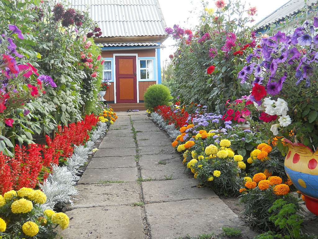 small bright flowers in the landscape design of the flowerbed