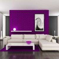 bright decor of the corridor in purple photo