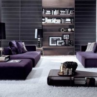 sofa ungu gelap dalam hiasan gambar apartmen