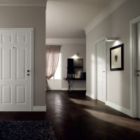 interior doors in the interior of the living room photo