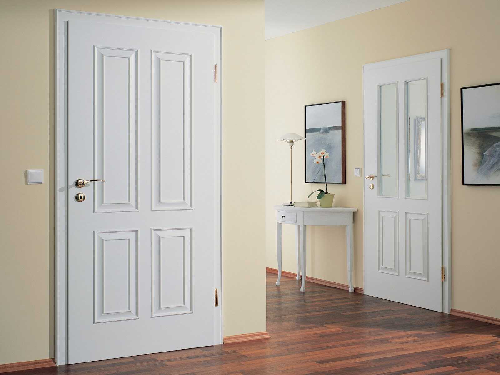 dark doors in the decor of the apartment