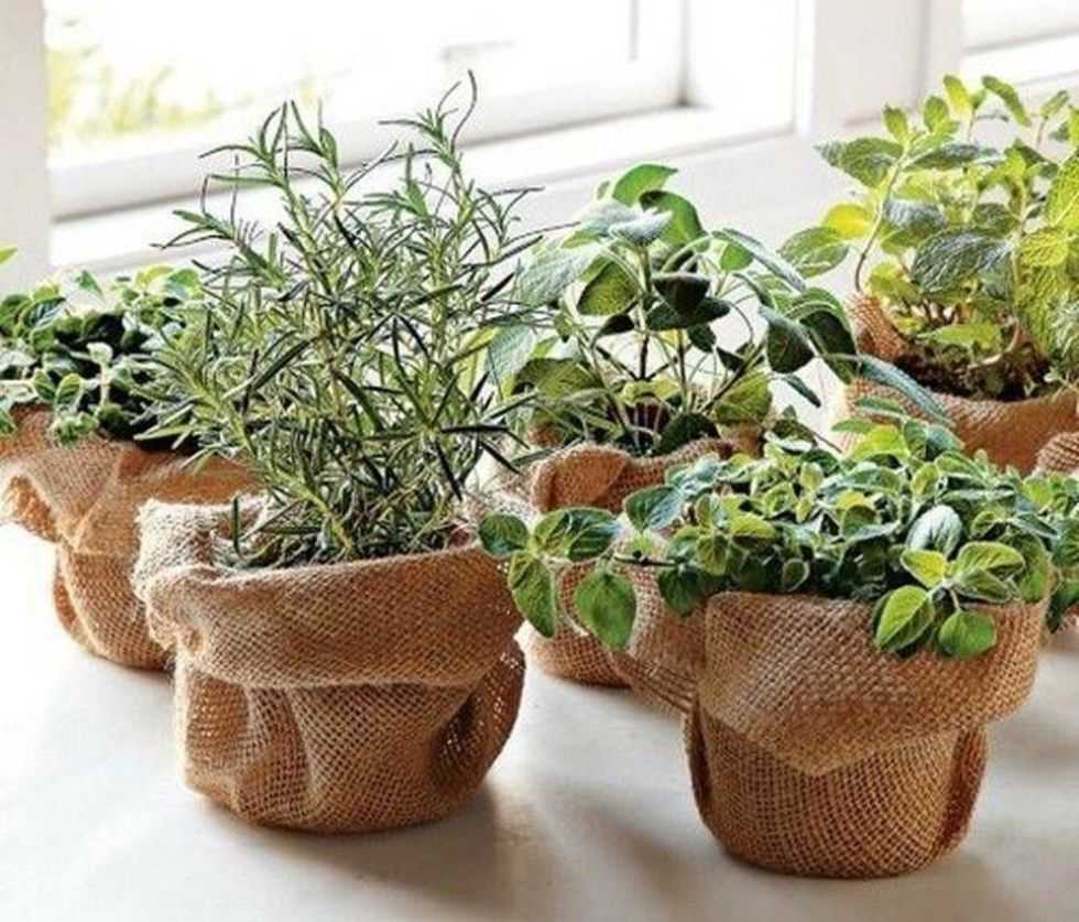 l'idée d'une belle décoration de pot