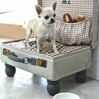 light decor of the apartment with old suitcases photo