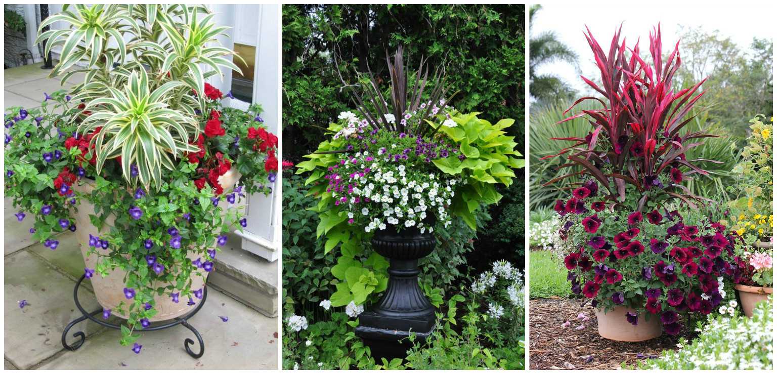 beautiful decoration of the garden plot with improvised materials