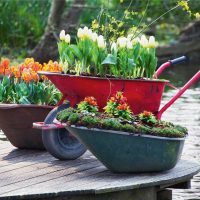 bright decoration of the garden plot with improvised materials photo