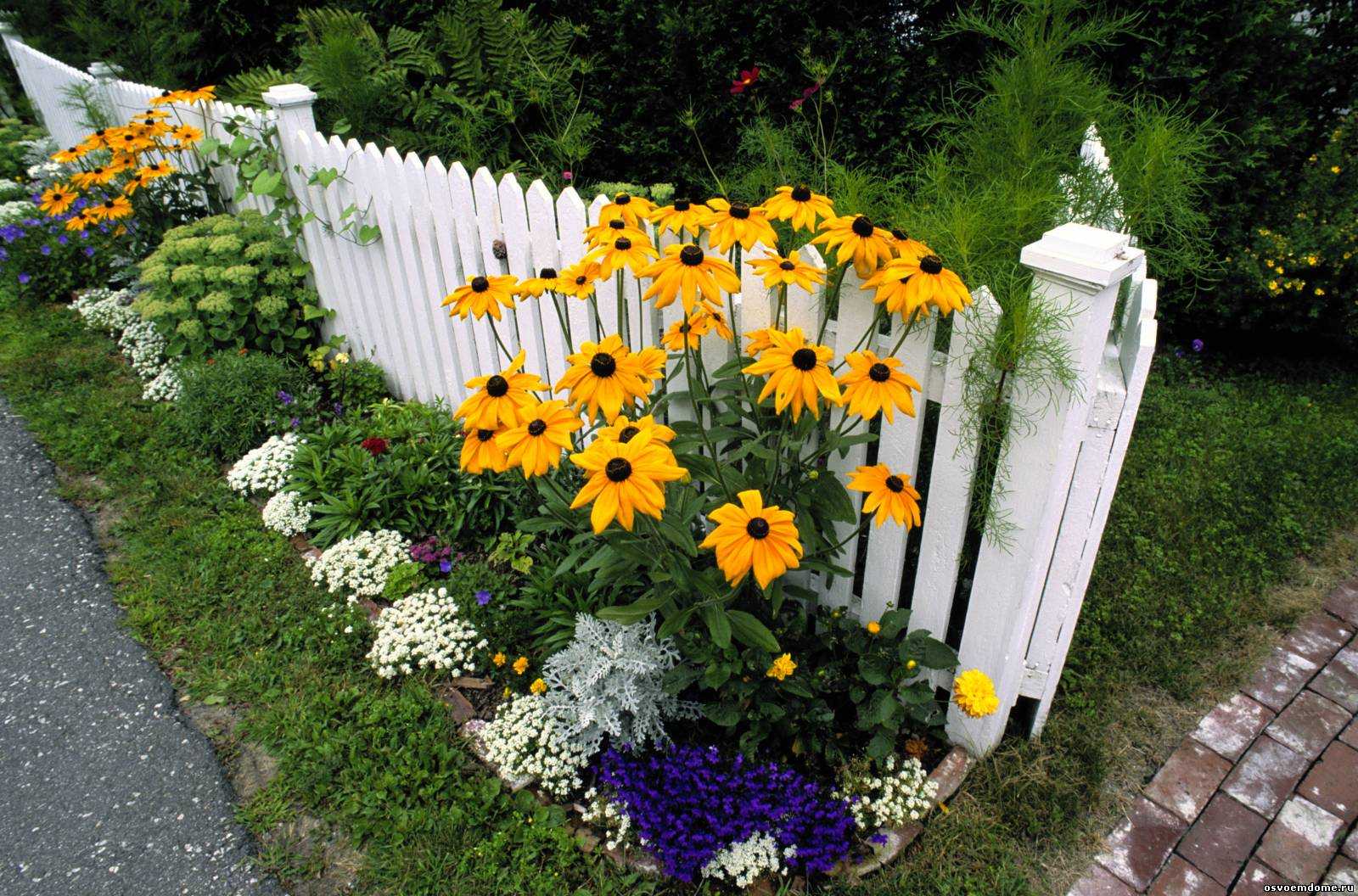 beautiful creation of the design of a summer cottage with flowers