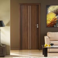 interior doors in home design picture