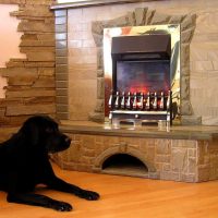 bright flexible stone in the facade of the living room picture