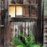 original decor of the living room with old boards photo