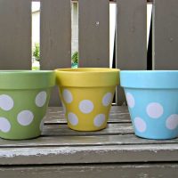 idea of ​​bright decor flower pots photo