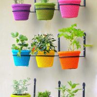 variant of the original design of flower pots photo