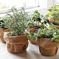 idea of ​​original decoration flower pots photo