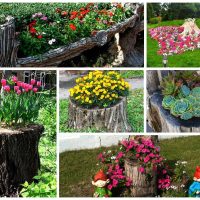 beautiful garden decoration improvised photo materials