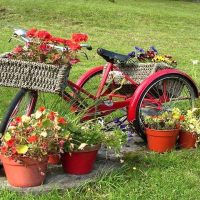 unusual decoration of the garden plot do it yourself photo