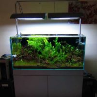 original design aquarium picture