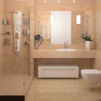 idea of ​​a bright style bathroom photo