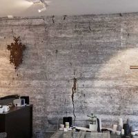 the idea of ​​unusual decorative plaster in the interior of the apartment for concrete picture