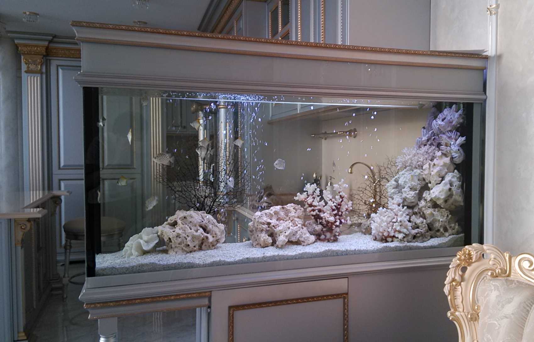 variant of beautiful decoration of the aquarium