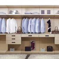 idea of ​​modern style wardrobe photo