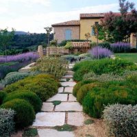 idea of ​​beautiful landscaping garden photo