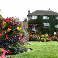 idea of ​​unusual decoration of the courtyard of a private house photo