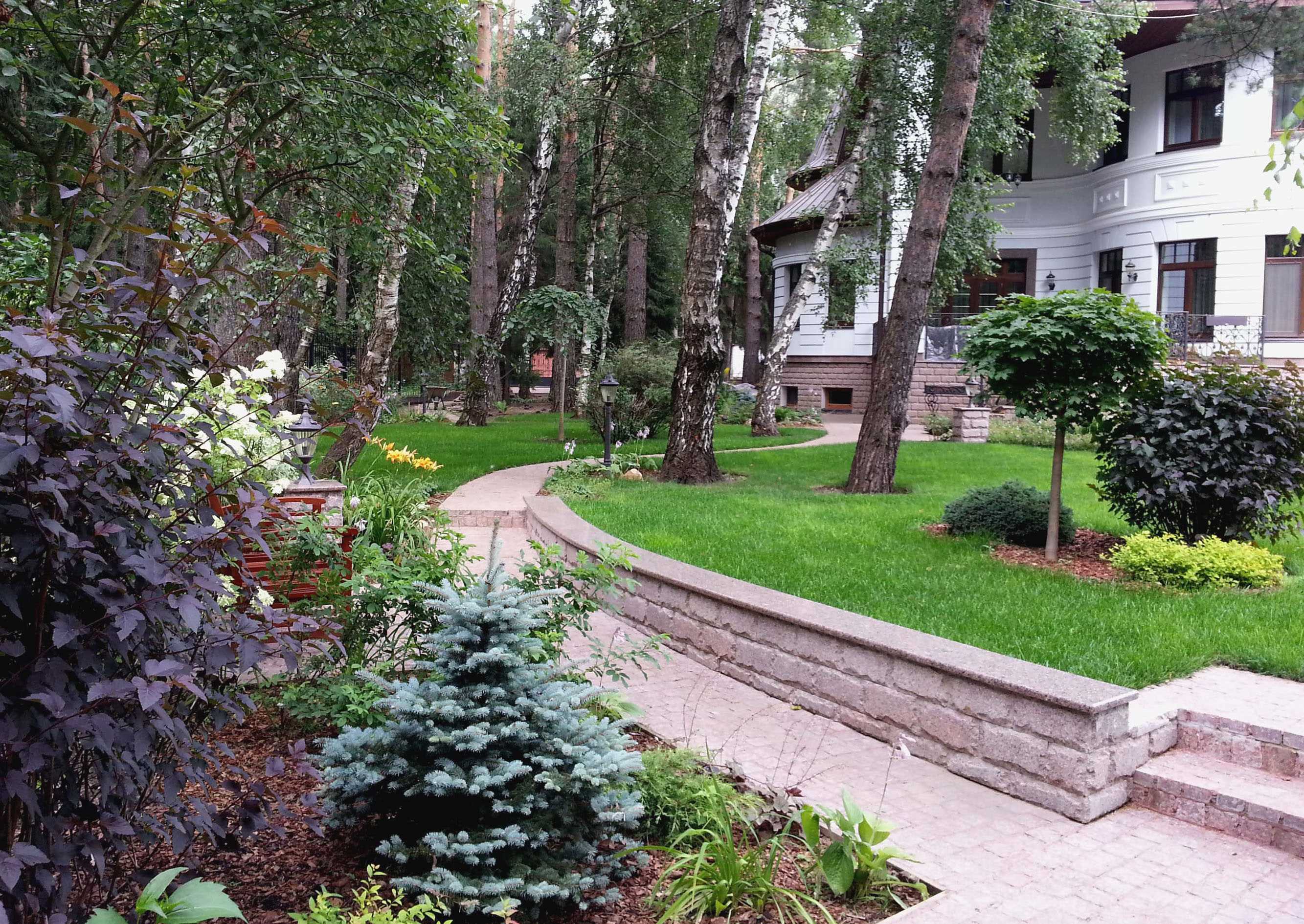 example of a bright landscape design of a private courtyard