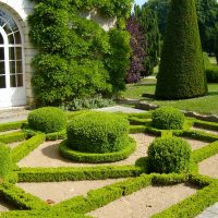 variant of bright landscaping of a private courtyard photo