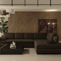 an example of a light living room interior in the style of minimalism picture