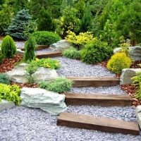 An example of the use of bright plants in the landscape design of a summer house