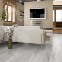 the idea of ​​using a light laminate in a bright home interior photo