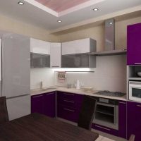 option for applying a bright style of the kitchen picture