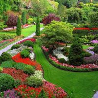 variant of the use of beautiful plants in landscape design giving photo