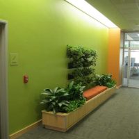 An example of applying green in a beautiful room design