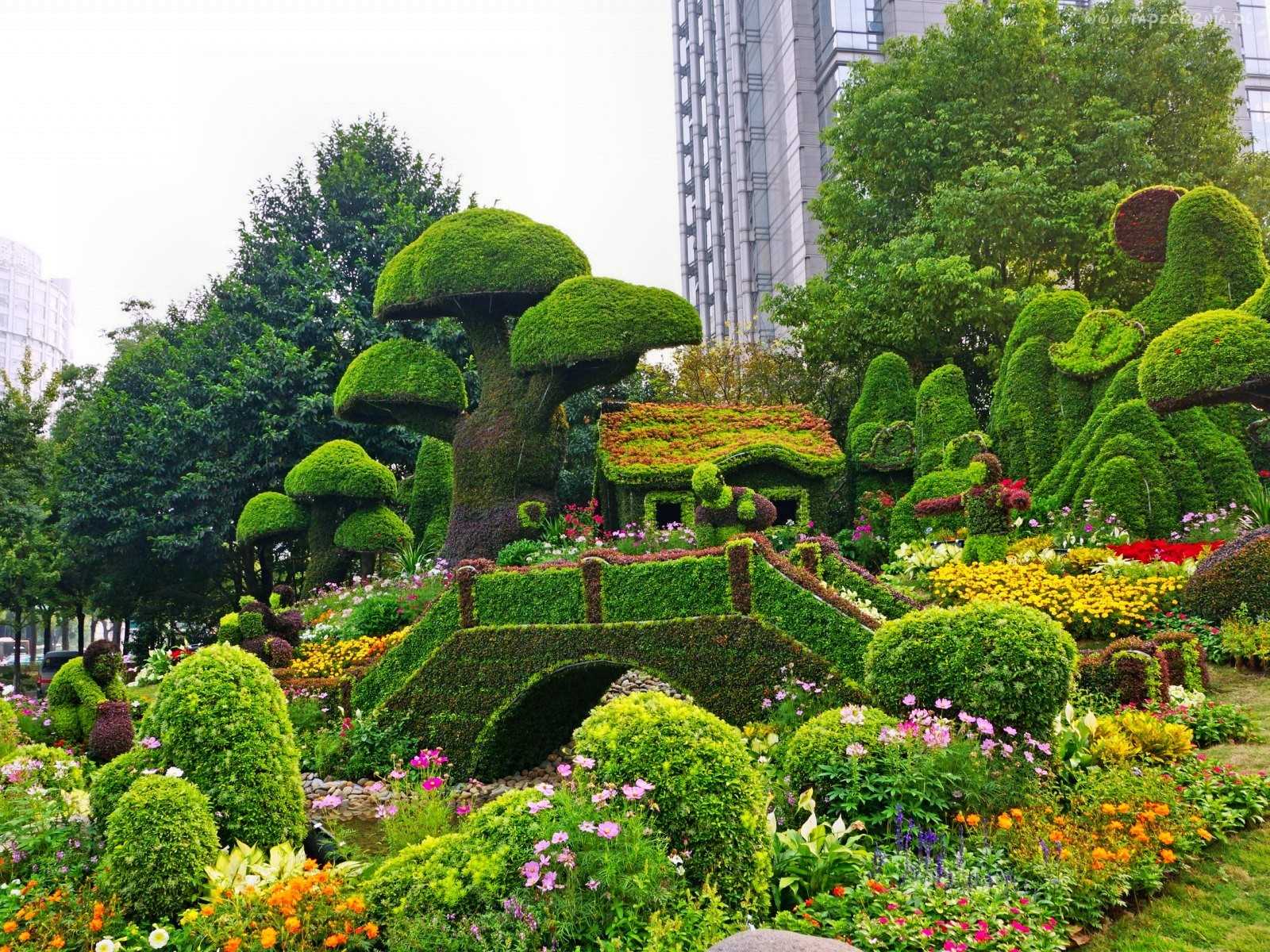 example of the use of bright plants in the landscape design of the house