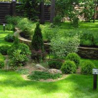 a variant of the use of beautiful plants in the landscape design of a summer house picture