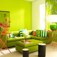 idea untuk memohon warna hijau dalam bahagian luar biasa gambar apartmen