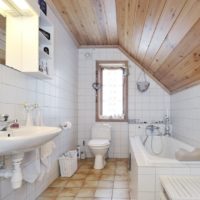 combined bathroom design