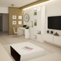 redevelopment of a studio apartment