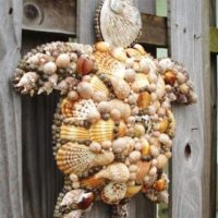 turtle shell decor