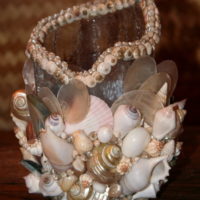 seashell decor photo ideas