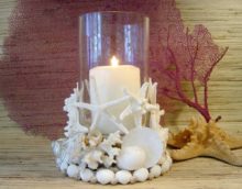 seashell decor