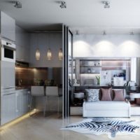 studio apartment design 20 sq m