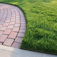 An example of the use of bright garden paths in landscape design