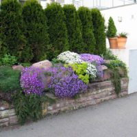 An example of a bright front garden decor in a private courtyard photo