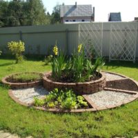 option of a light decor of a garden in a private courtyard picture