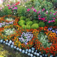 example of an unusual decor of the front garden at the cottage photo